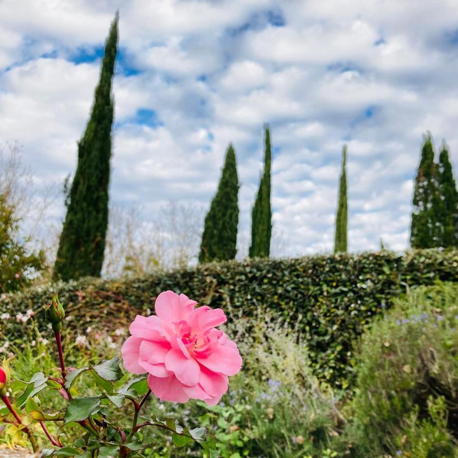 Podere La Chiusella B&B Rapolano Terme Kültér fotó